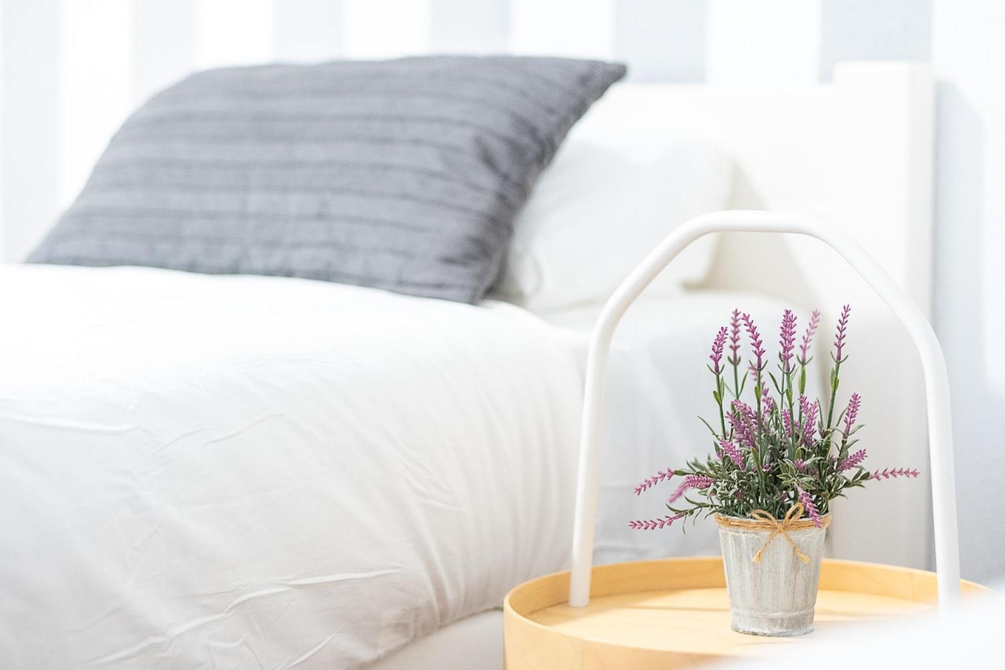 Apartamento New Folch Sevilla A ภายนอก รูปภาพ